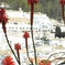 R0013542