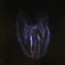 カブトクラゲ