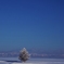 Merry Christmas from a moon