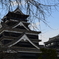 12月 熊本城2