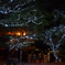 大濠公園 イルミネーション1