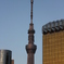 暮れなずむ、スカイツリー