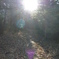 登山道入口