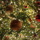 クリスマスツリーの中の宇宙