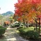 渓石園08