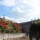 渓石園06