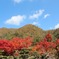 渓石園02