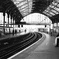 Brighton Staionにて