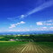 飛行機雲流れる丘