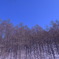 photo_228050