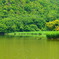 広沢の池