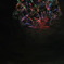 第22回東京湾大華火祭