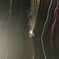090803_223409