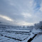 雪のワサビ田
