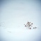 雪の中で