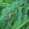photo_228537