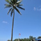 GUAM