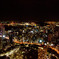Tokyo Tower -A Happy New Year- 