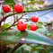 photo_2289626