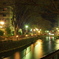 冬の広瀬川散歩