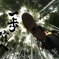 今年の目標