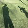 shadows