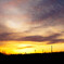 photo_2295470