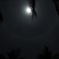 DPP_0018
