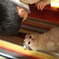 にらめっこ