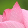 　雨、あがり