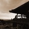 奈良フォト #4