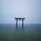 Silent Blue