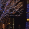 Sapporo