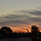 DSC_2022