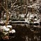 雪の京都