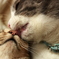 kiss