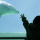 High Five!