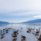 Ｌａｋｅ　Ｖｉｅｗ