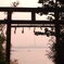 雄島内部鳥居