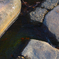 SDIM2566