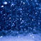 金剛山　雪不動