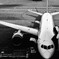 Boeing 787　主翼