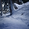 新雪