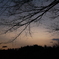 夕暮れ