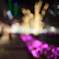 F1.4
