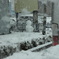 2013年・成人の日