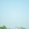 DSC_6450
