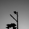 Monochrome Sky #3