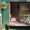 window