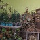 firewood